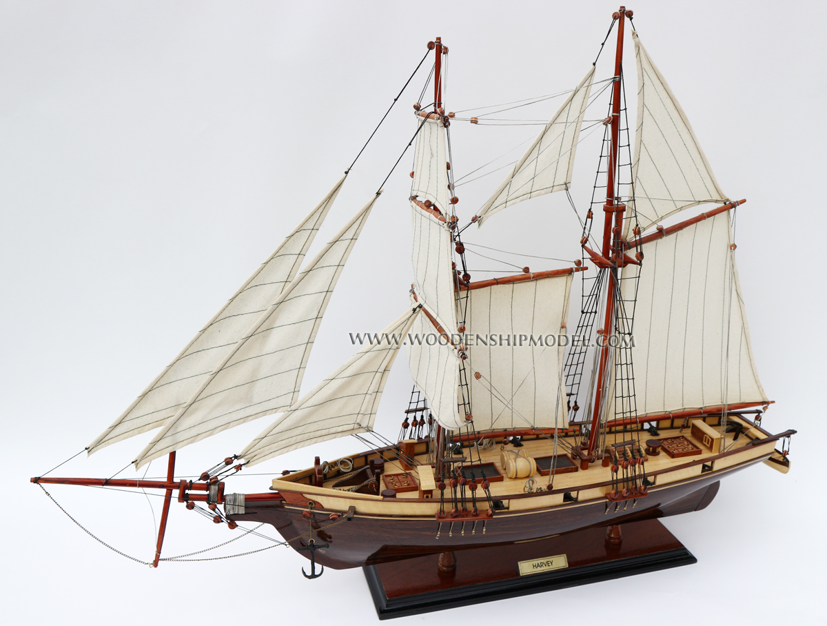 Model schooner Harvey bow view