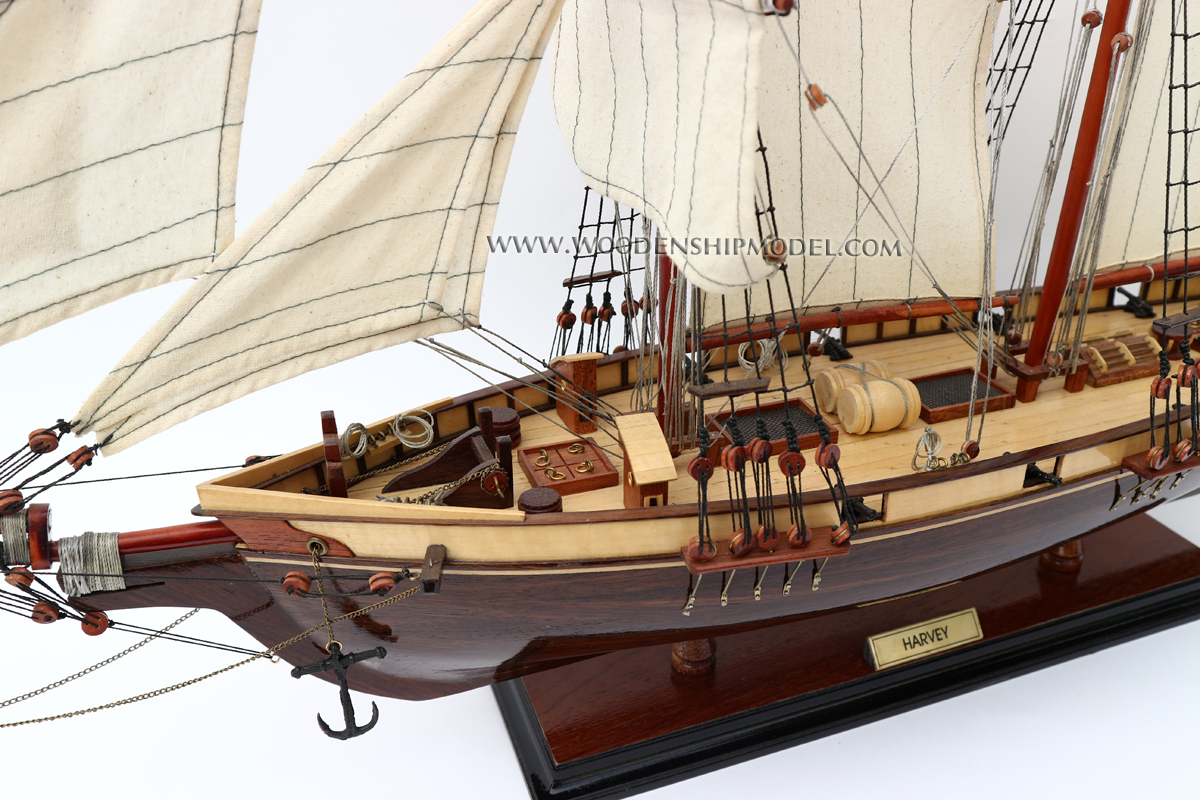 Model schooner Harvey stern view