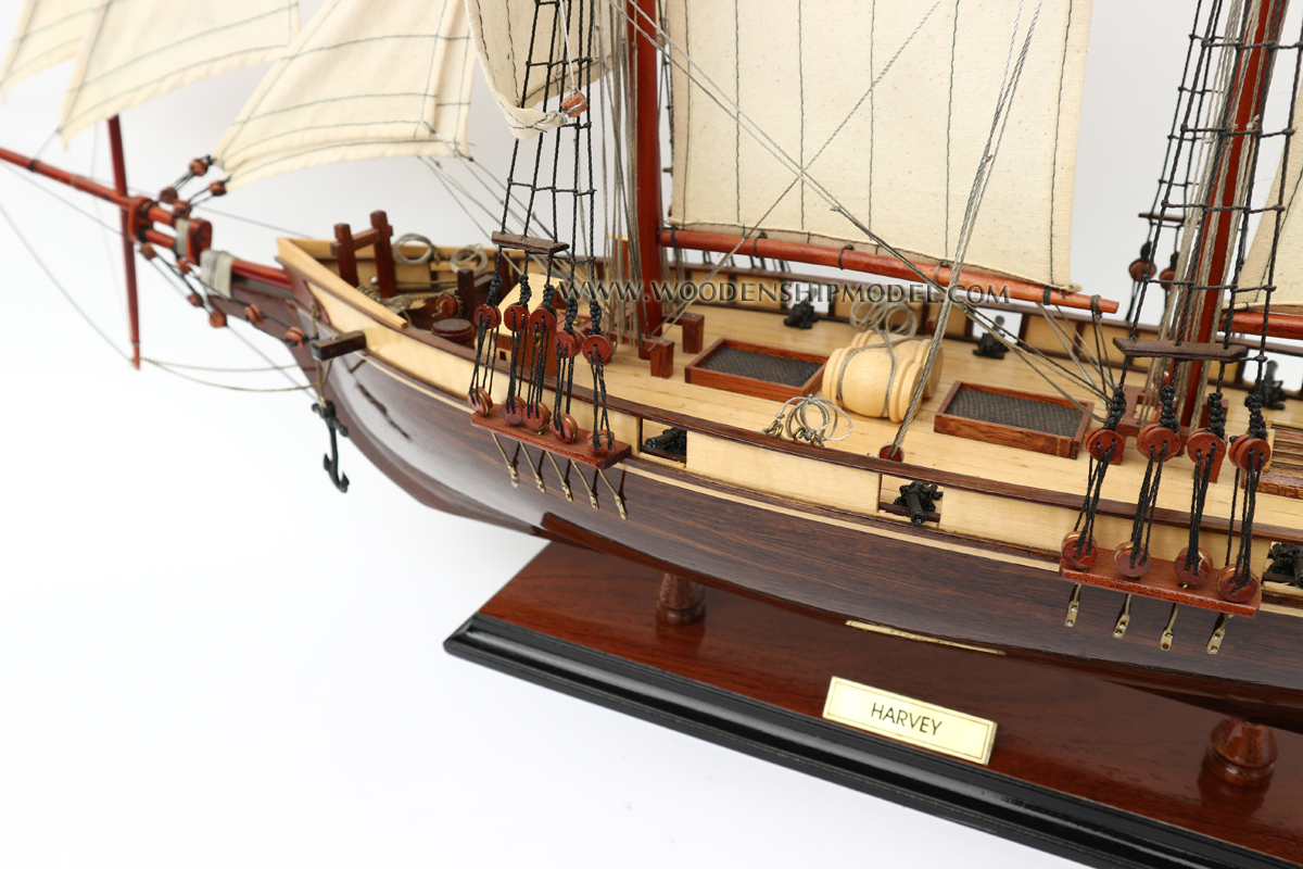 Model schooner Harvey aft deck view