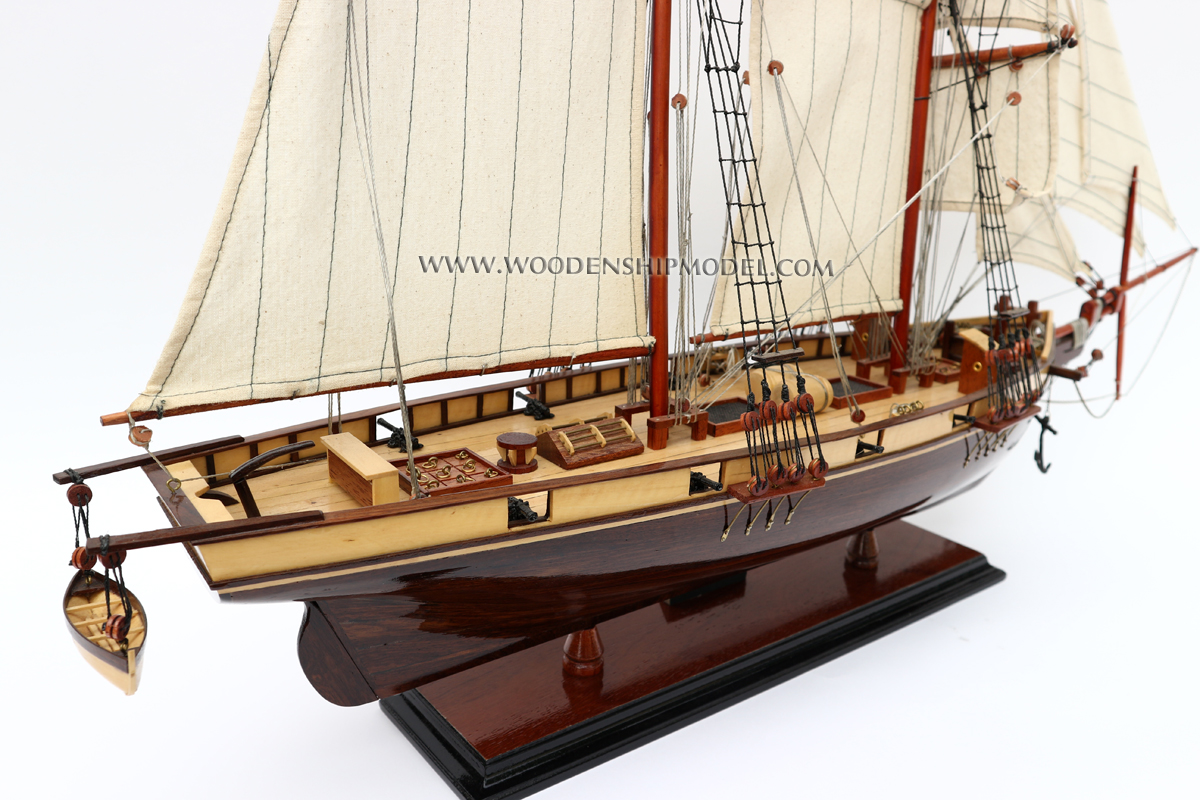 Harvey model ship