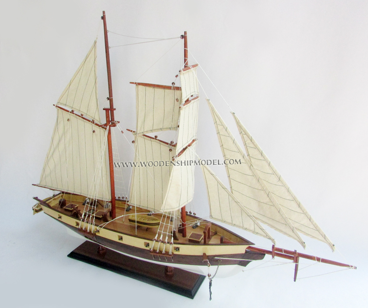America's Privateer Lynx, Lynx historic ship, Lynx tall ship, Lynx wooden model ship, Lynx wooden model tall ship, model clipper ship Lynx, model American historic ship Lynx, The replica of the Lynx sailing today was designed by Melbourne Smith - International Historical Watercraft Society, based on historical data, and built by Taylor Allen and Eric Sewell at Rockport Marine, Rockport, Maine. She was launched on July 28, 2001 in Rockport, Maine, making her a very new addition to the tall ship community. Her port of registry is with Portsmouth, New Hampshire. Today, instead of fighting the British like her original counterpart, she serves as an education vessel. She teaches seamanship and history to those who step on her deck. Notably, the Lynx is known for her summer program where she sails to Hawaii with students. Along the way students learn about sail handling, navigation, seamanship, leadership and learning to face unforeseen challenges. Her four carronades and four swivel guns usually get their exercise during weekends when another tallship is in port, such as the Lady Washington, where the two tall ships engage in "Battle sail", using actual battle tactics. While the battling tallships are using actual black powder, they however shoot blanks. Members of the public are able to book passages on these three-hour battles.