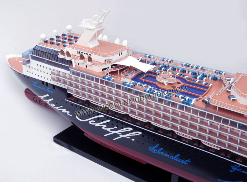 Handcrafted Cruise Ship Model Mein Schiff 2